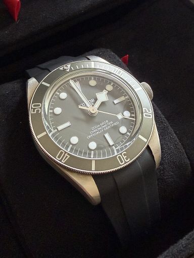 TK Tudor 79010SG BB58 925