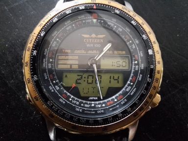 Citizen Wingman Vintage
