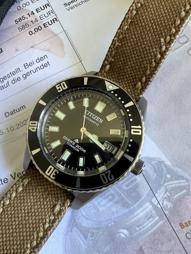 Citizen Barnacle (NB6021-17E)