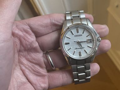 The Citizen Chronomaster (AQ4020-54Y)