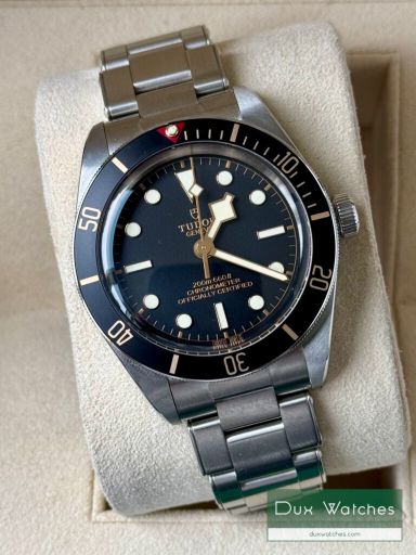 Tudor Black Bay 58 ref 79030N DR01290