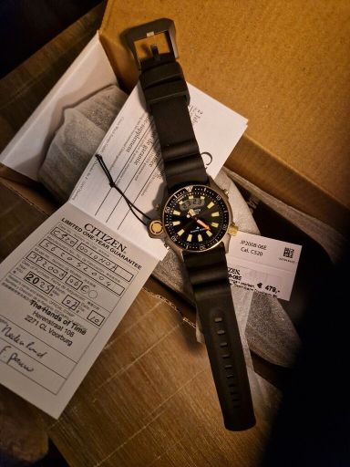 Citizen Promaster JP2008-06E