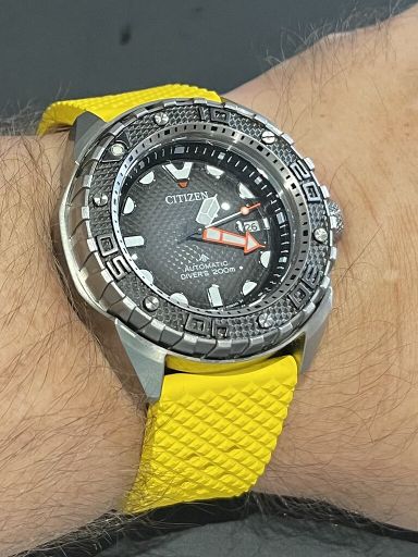 TK: Citizen Promaster NB6004-83E