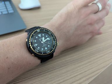 TK/TR Seiko Gold Tuna SNE498P1 300,-