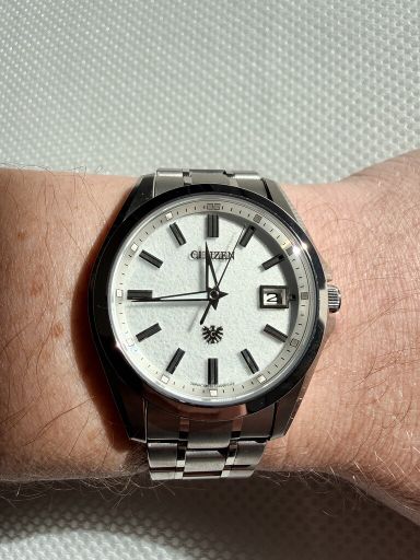 The Citizen (Chronomaster) AQ4091-56A