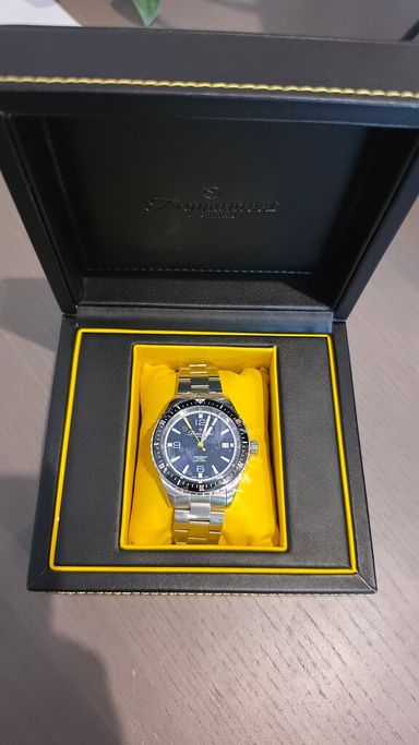 Nieuwe Fromanteel Pendulum diver 40mm