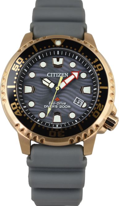 Citizen Promaster Eco-drive BN0163-00H