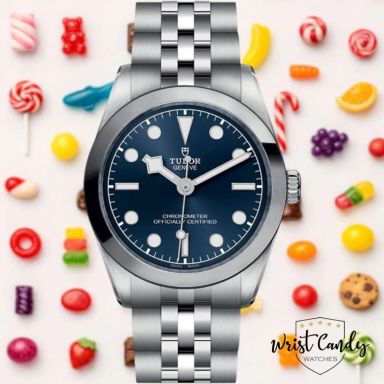 Tudor Black Bay 31