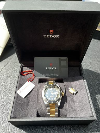 Tudor Black Bay S&G 79733N