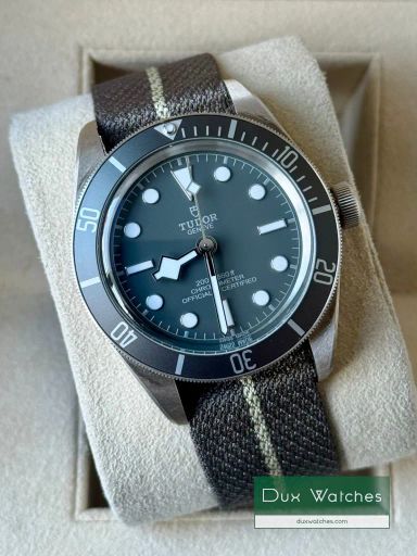 Tudor Black Bay 58 ref 79010SG DR01602