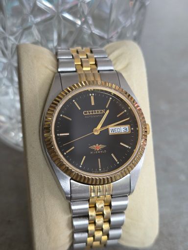 Citizen Eagle Seven 2-tone