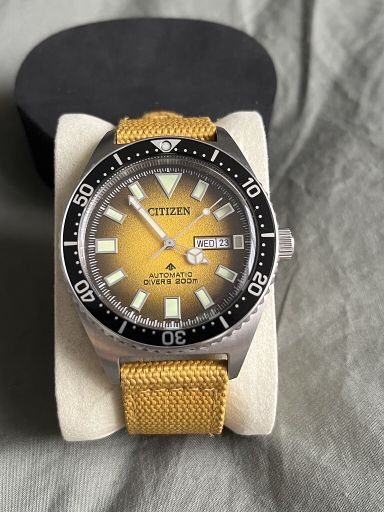 Citizen Promaster NY0120-01X