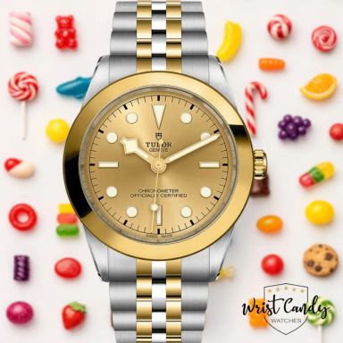 Tudor Black Bay One 39 S&G