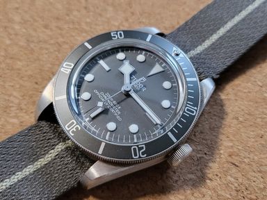 Tudor Black Bay 58 925 zilver