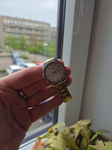 Casio Two-Tone dameshorloge (LTP-1302PSG-7AV)