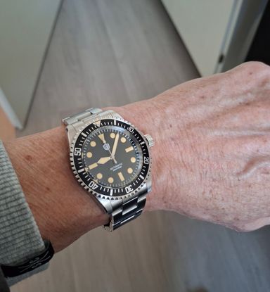 TK: Watchdives WD5513 V2 PT5000