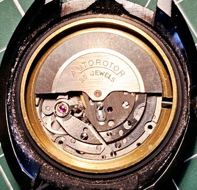 te koop Alpina Dispomatic