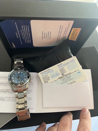 Seiko SPB299J1 Glacier Save the Ocean